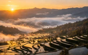 3-Day Yuanyang Rice Terraces Tour from Kunming