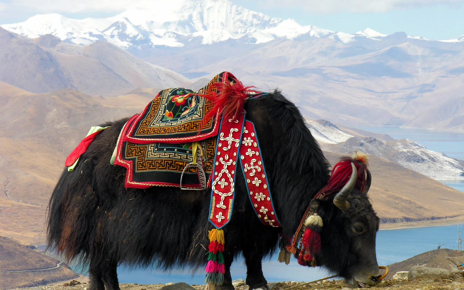 Lhasa to Shigatse via Yamdrok Lake and Karola Glacier on the 15-Day Sichuan-Tibet Group Tour with Daocheng Yading & Shigatse Lhasa to Shigatse via Yamdrok Lake and Karola Glacier on the 15-Day Sichuan-Tibet Group Tour with Daocheng Yading & Shigatse