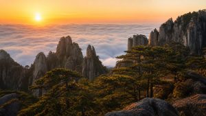 11-Day Shanghai Huangshan Xi’an Beijing Group Tour