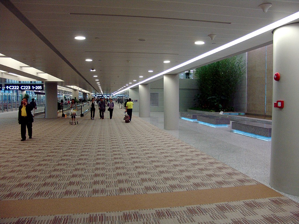 Shanghai Airport Transfer, Day 8 of 13-Day China Group Tour from Chengdu with Classic China Exploration