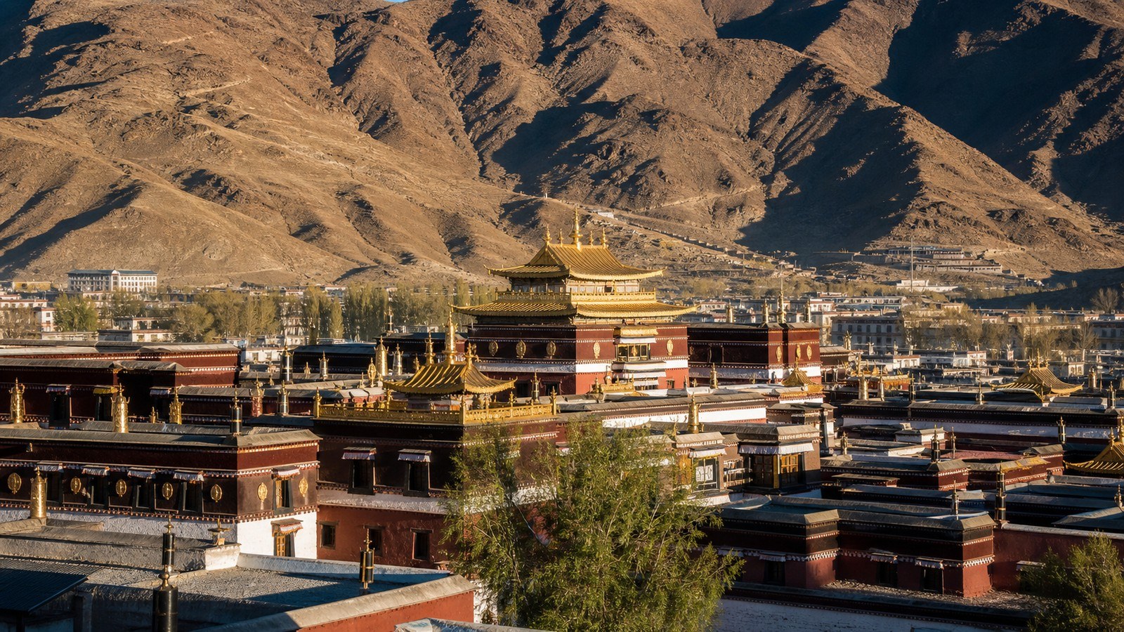 Tashilhunpo Monastery in Shigatse; Mt. Everest - Shigatse, Day 7 of 13-Day China Group Tour from Shanghai with Holy Tibet Discovery