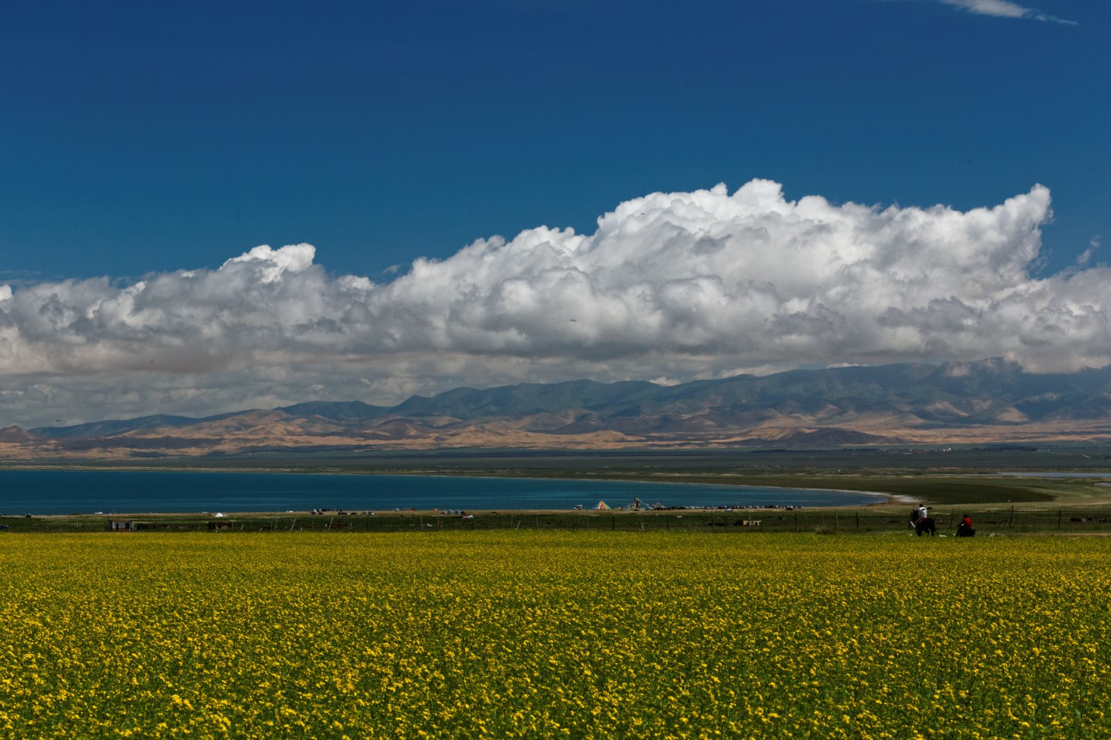 Zhangye to Chaka via Xining and Qinghai Lake, Day 11 of 13-Day Silk Road Group Tour from Kashgar to Xining (Xinjiang/Gansu/Qinghai)
