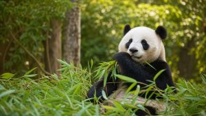 15-Day China Impression Small Group Tour: Experience Classic China & Nature