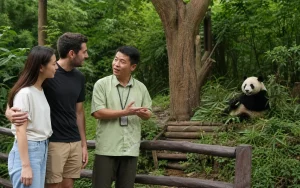5-Day Chengdu, Pandas & Sanxingdui Private Tour