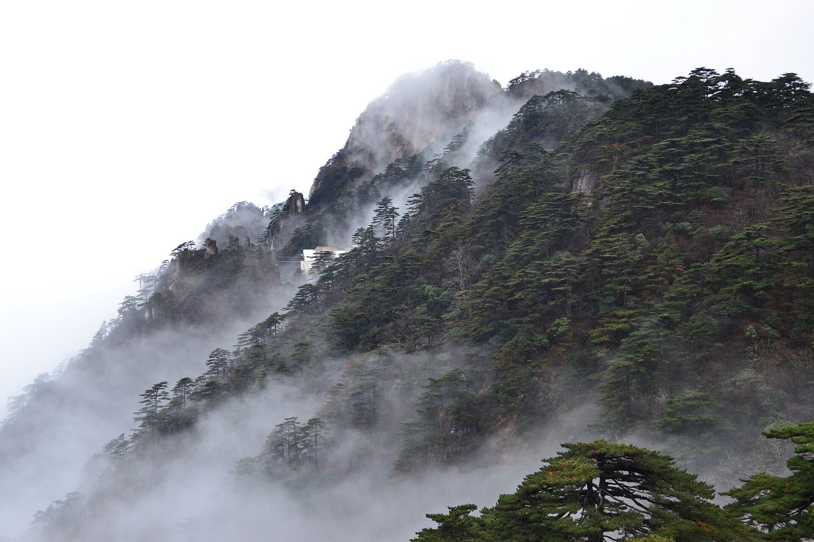 Yellow Mountain & Huangshan City Tour, Day 3 of 4-Day Huangshan Group Tour