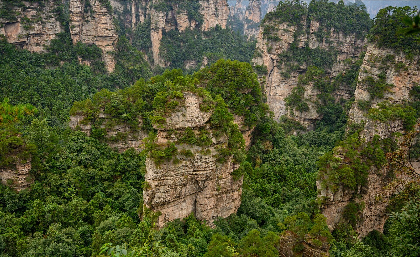 Arrival in Zhangjiajie, Day 1 of 4-Day Zhangjiajie Group Tour
