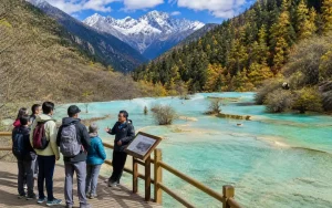 6-Day Pandas, Jiuzhaigou & Huanglong Small Group Tour
