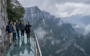 8-Day Chengdu, Chongqing & Zhangjiajie Small Group Tour: Pandas, Cyberpunk & Avatar Peaks