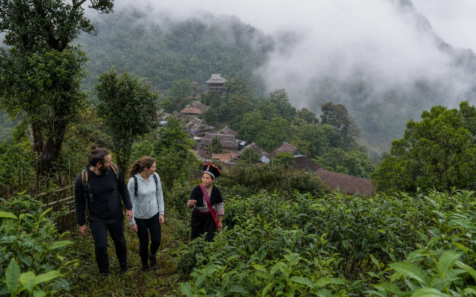 International travelers hiking with a Hani tea guide on misty Nannuo Mountain