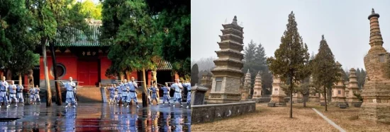 Shaolin kung fu performance and historic Pagoda Forest at Songshan in Henan