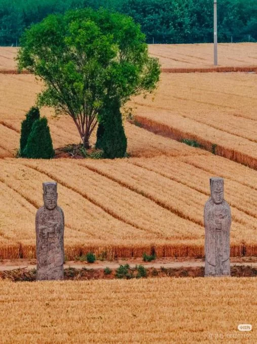 Historic stone guardian statues at the Song Imperial Tombs near Gongyi, Henan Historic stone guardian statues at the Song Imperial Tombs near Gongyi, Henan