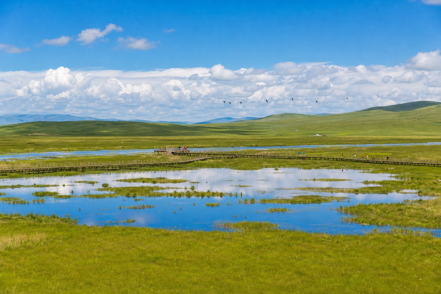 Blue wetland pools, green grassland and boardwalk at Ruoergai Flower Lake
