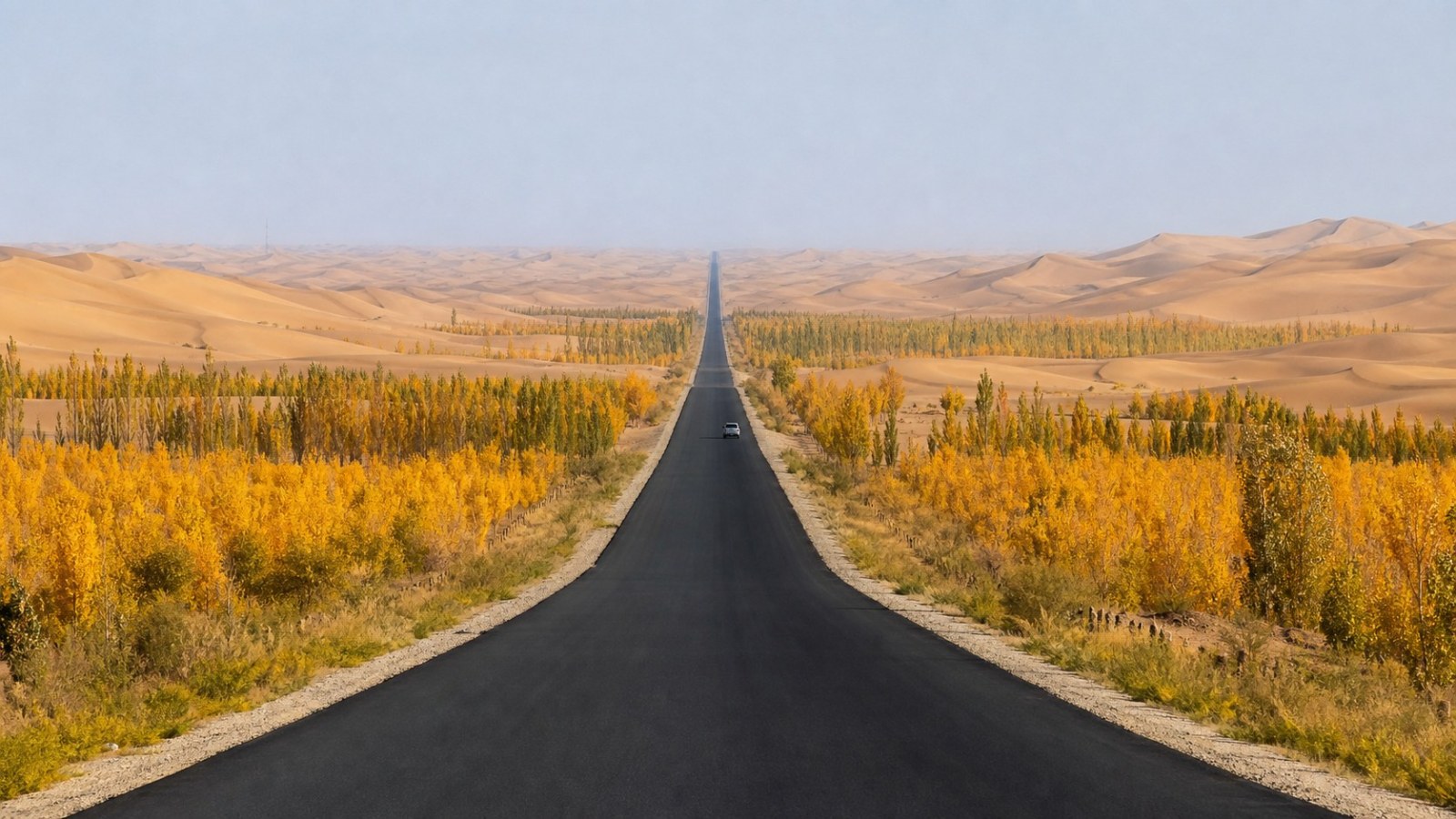 Travel across the southern Tarim Basin — 10-Day Southern Xinjiang Golden Poplar Forest Group Tour