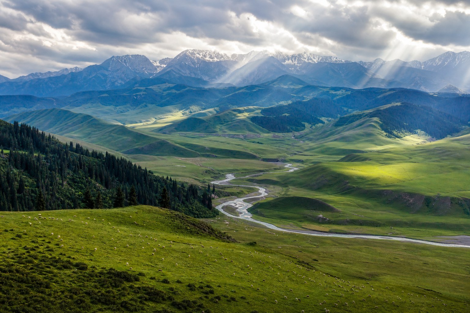 High valley view across Nalati grassland, winding river and layered Tianshan peaks