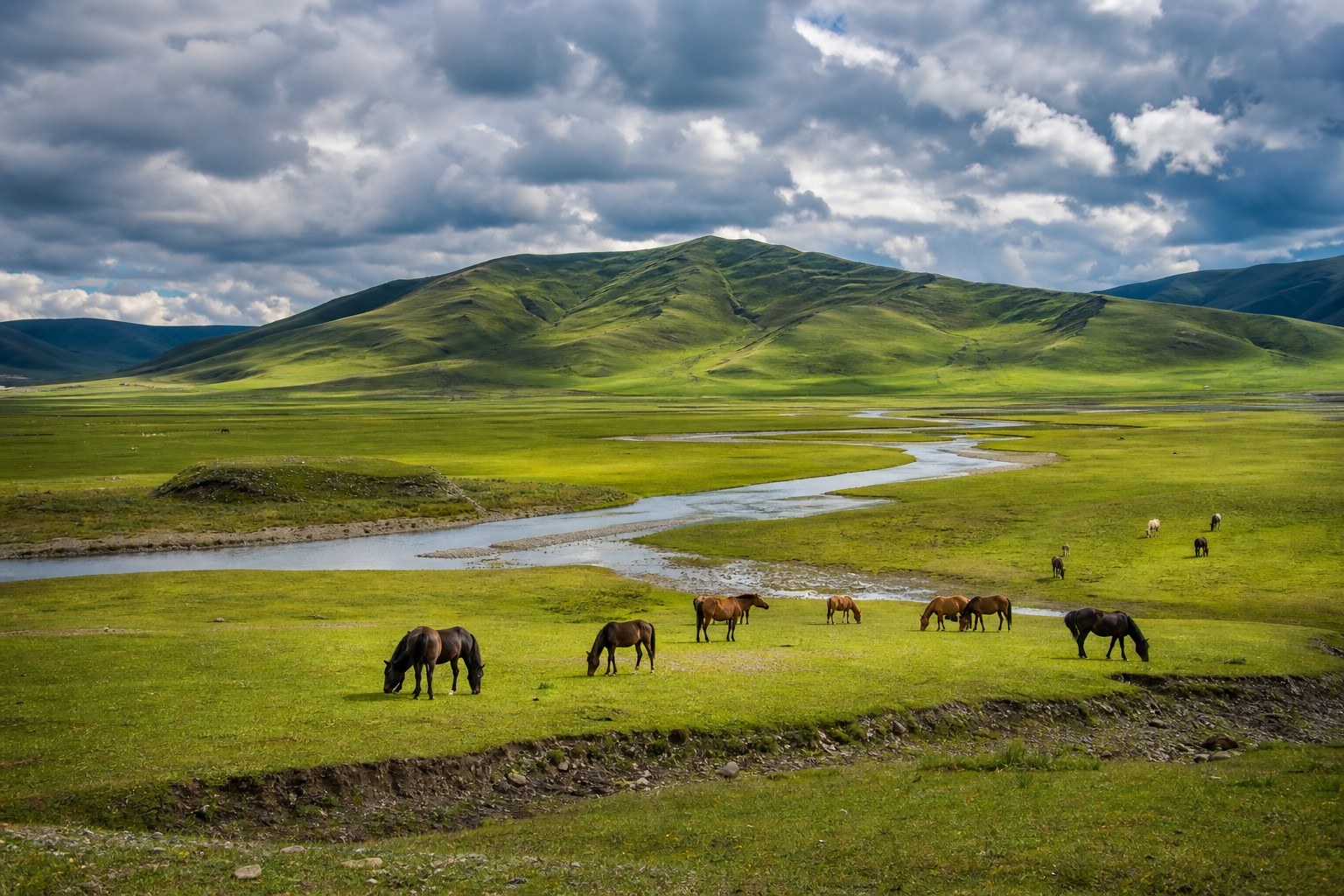 Sangke Grassland, winding stream and grazing horses beneath dramatic clouds