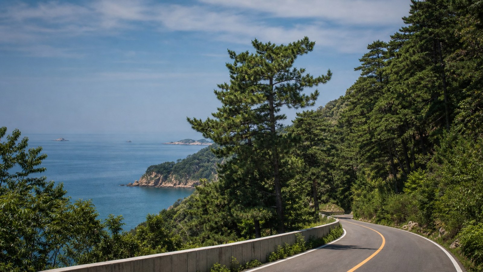 Forest road overlooking the sea on the Liaodong Peninsula