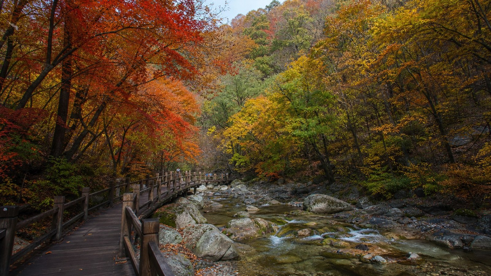 Autumn forest, stream and wooden walkway at Tianqiaogou