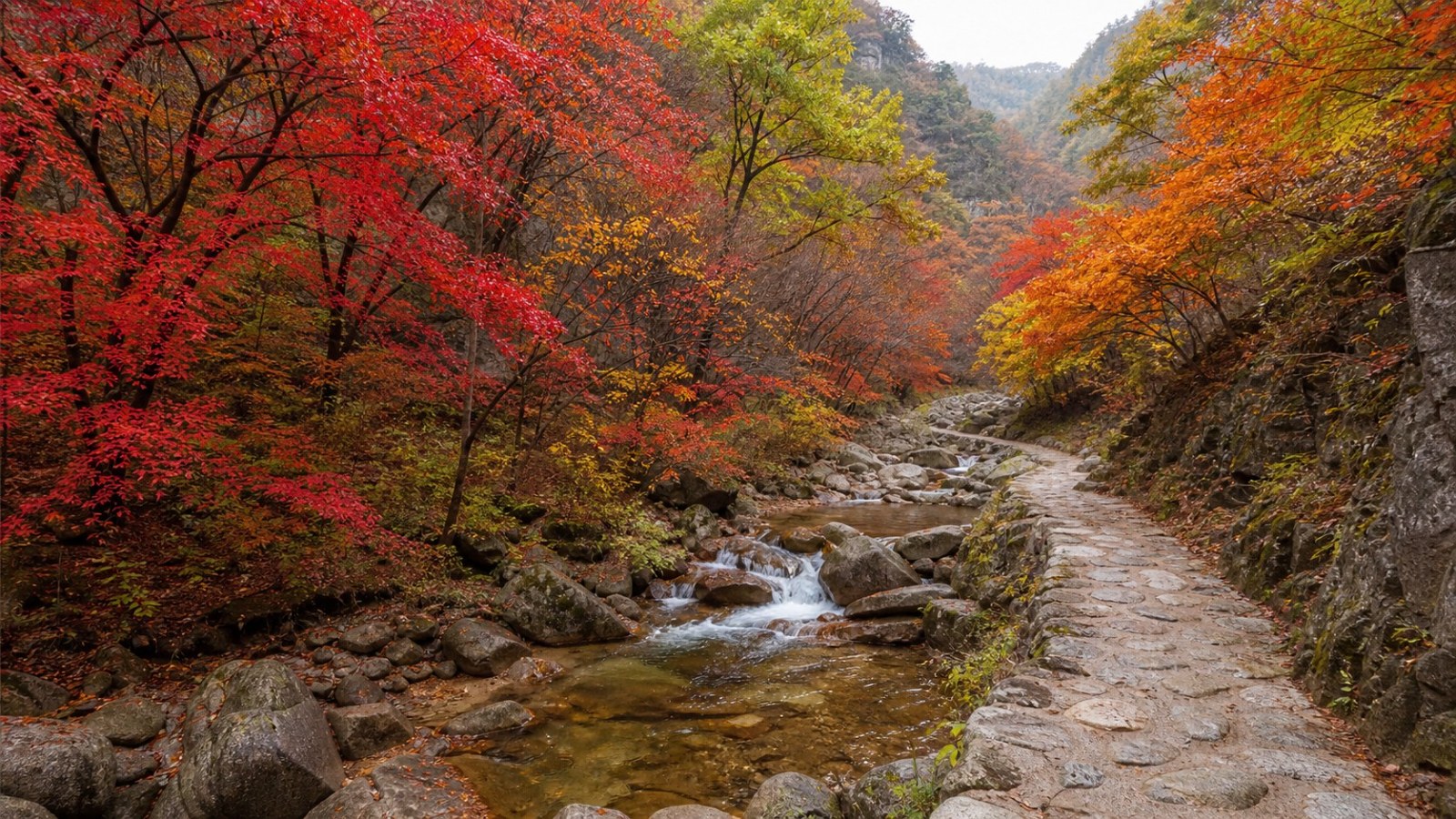 Red and golden maple trees beside a clear stream in Laobiangou