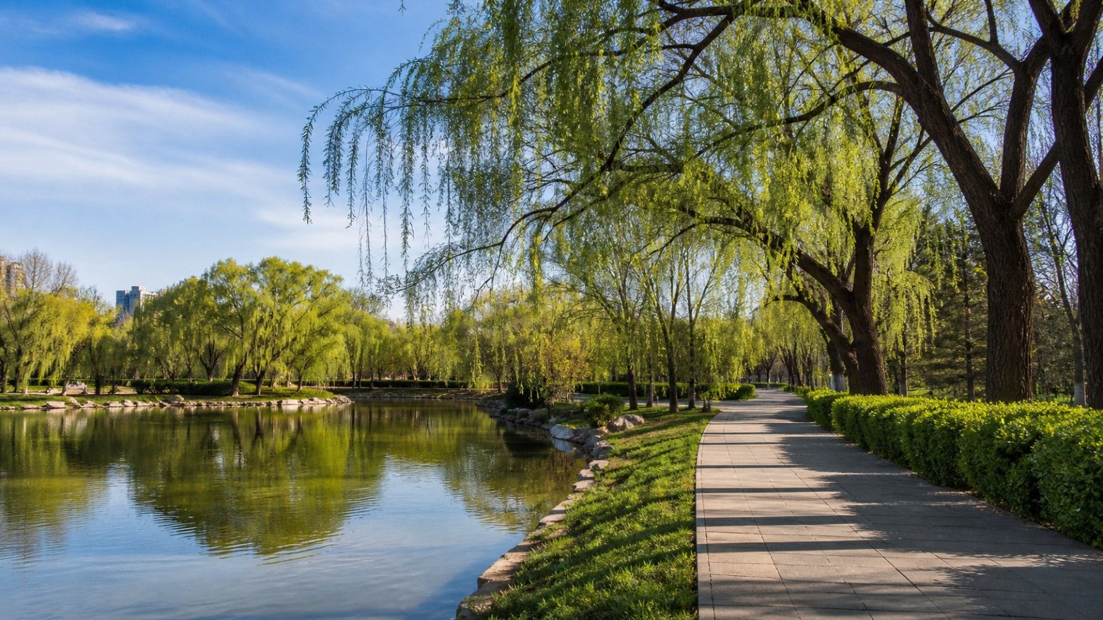 Willow-lined path beside a calm lake in Beiling Park, Shenyang