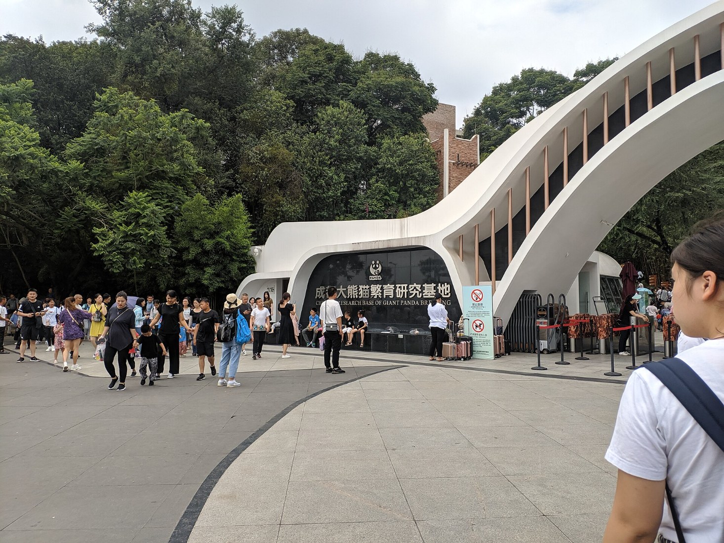 Chengdu to Guilin by High Speed Train, Day 8 of 15-Day China Dream Tour Classic China, Pandas, Nature Wonders in Small Group