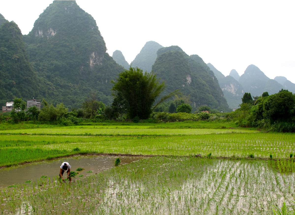 Yangshuo-Guilin & High Speed Train to Zhangjiajie, Day 10 of 15-Day China Dream Tour Classic China, Pandas, Nature Wonders in Small Group