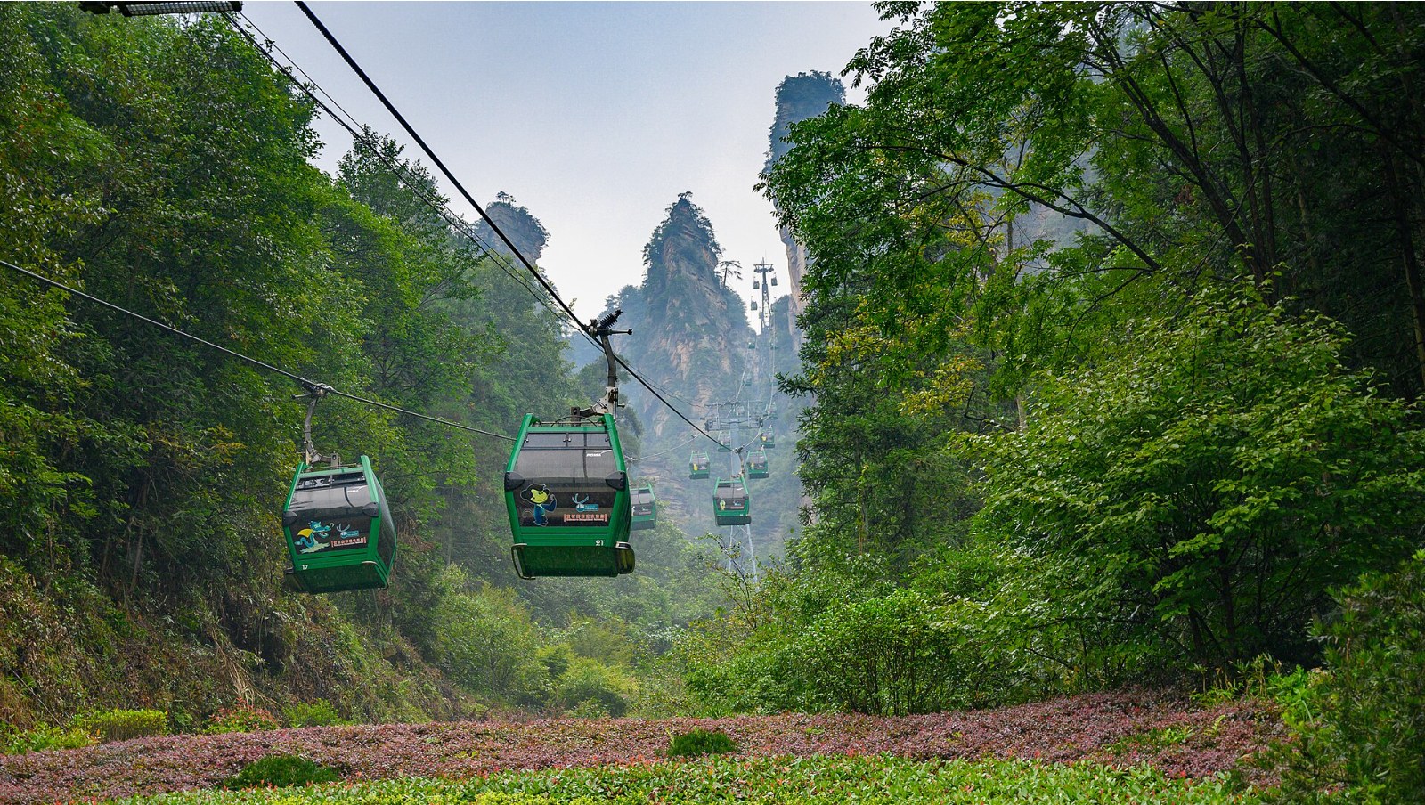 Zhangjiajie Tianmen Mountain Tour, Day 13 of 15-Day China Dream Tour Classic China, Pandas, Nature Wonders in Small Group