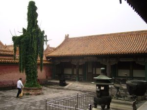 15-Day China Dream Tour Classic China, Pandas, Nature Wonders in Small Group