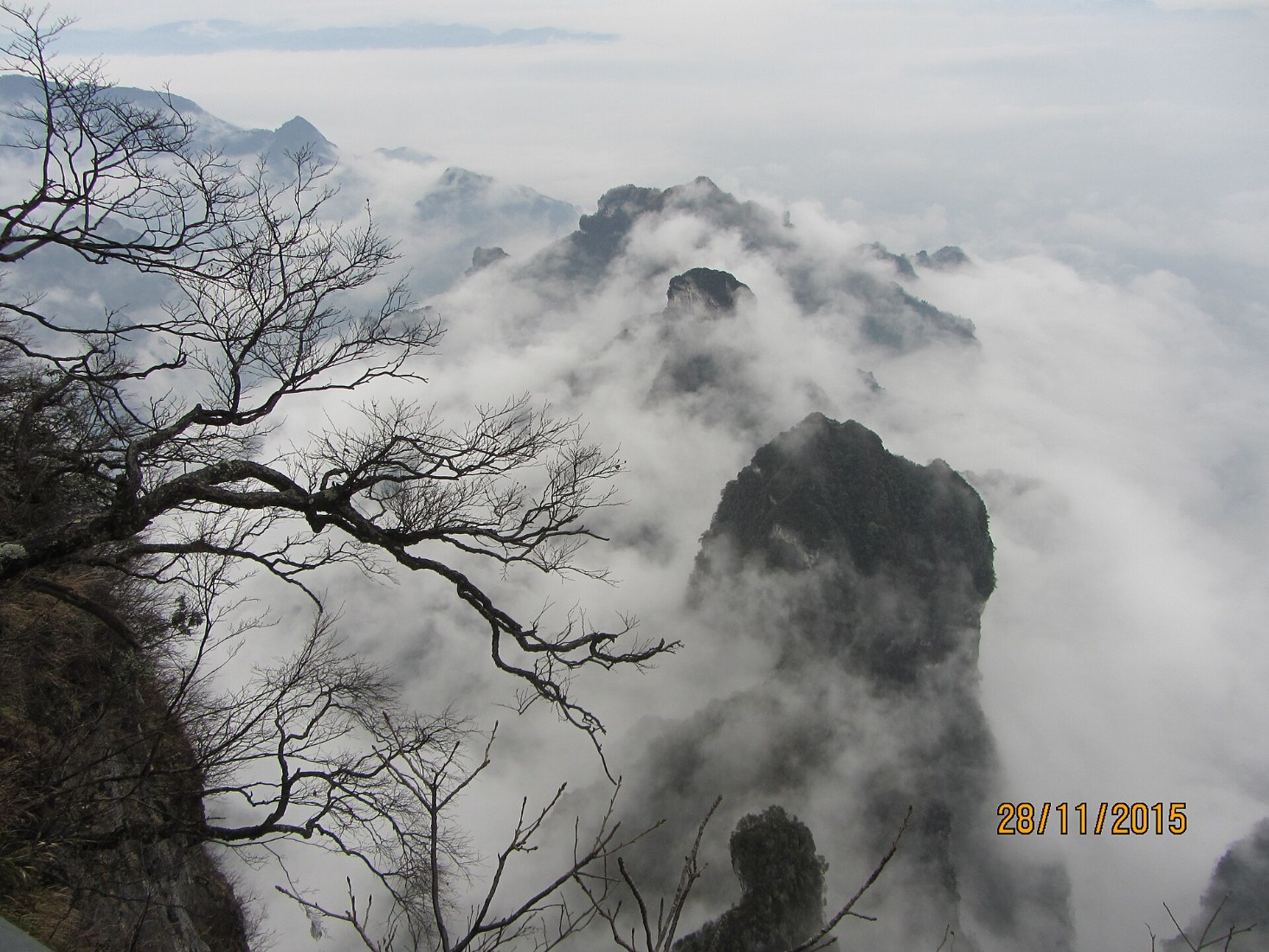 Zhangjiajie Tour, Day 12 of 15-Day China Grand Tour: Beijing, Xi'an, Chengdu, Chongqing, Zhangjiajie & Shanghai