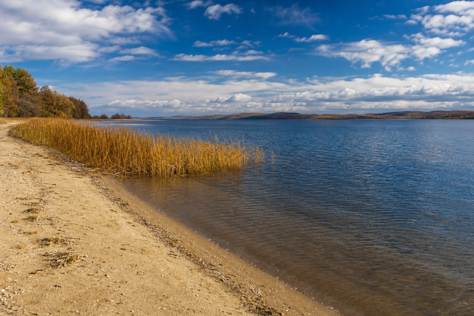 Blue Xingkai Lake, sandy shore and golden reeds beneath a dramatic sky