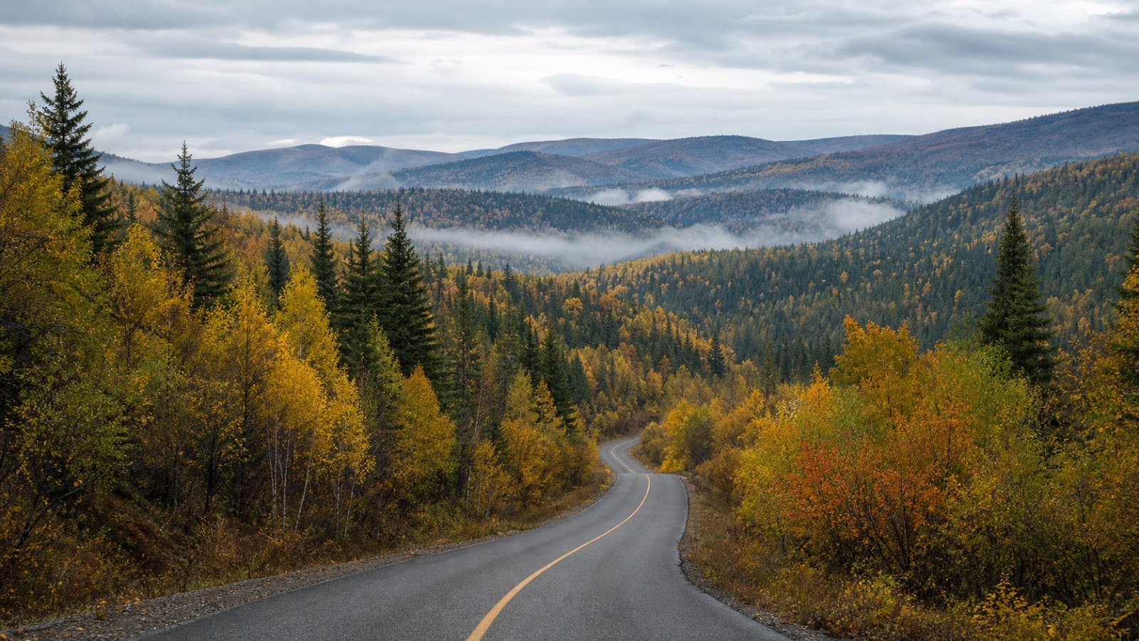 Autumn forest road from Fuyuan to Yichun