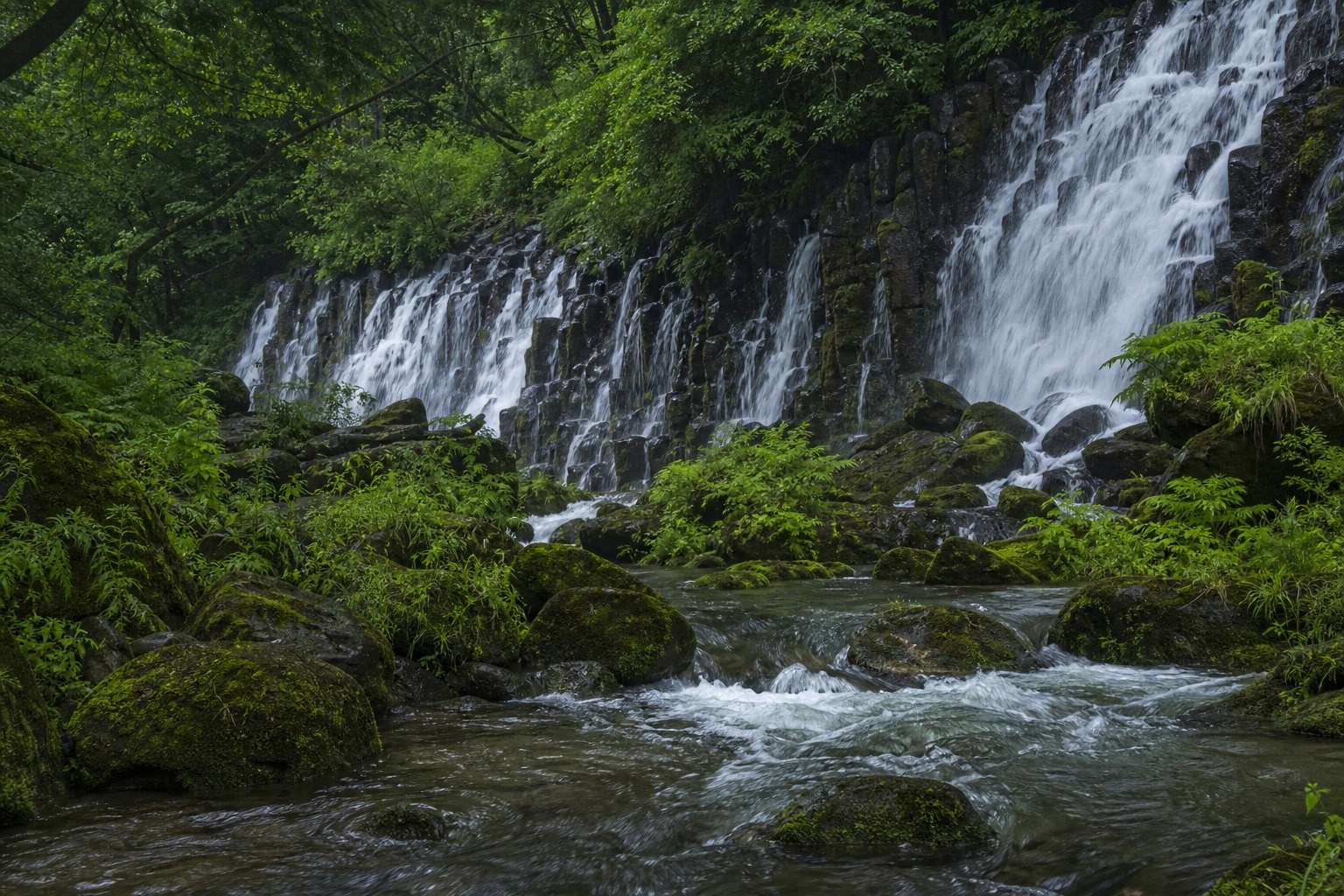 Changchun Experience, Day 3 of 4-Day Changchun and Jilin Nature Tour: Meihekou and Triangle Dragon Bay