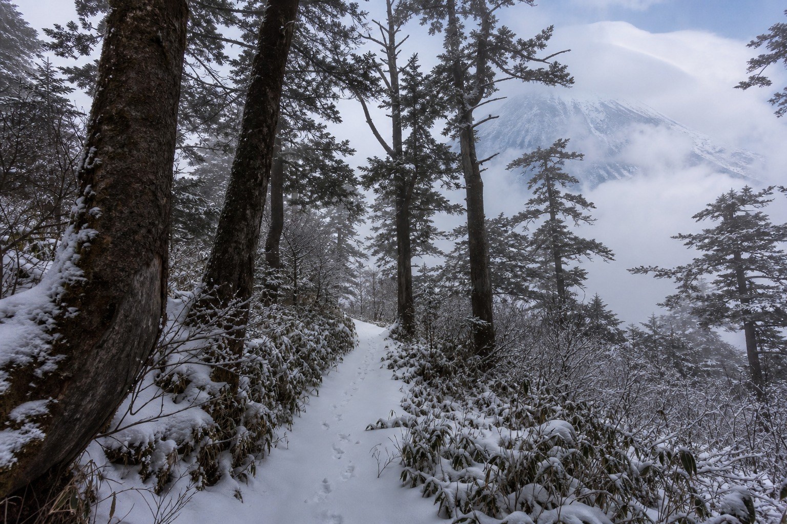 Dunhua to Changbai Mountain, Day 3 of 6-Day Harbin, Jingpo Lake and Changbai Mountain Winter Tour