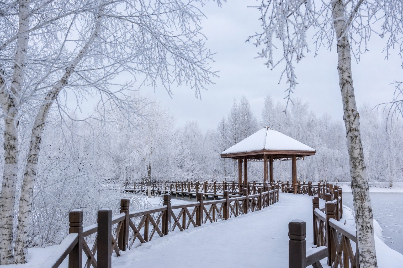 Harbin Volga Manor and City Walk, Day 5 of 7-Day Harbin Winter Culture Tour: Volga Manor, Yabuli and Snow Town