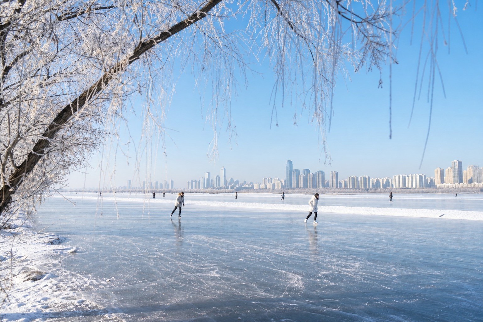 Harbin Winter Activities and Central Street, Day 6 of 7-Day Harbin Winter Culture Tour: Volga Manor, Yabuli and Snow Town