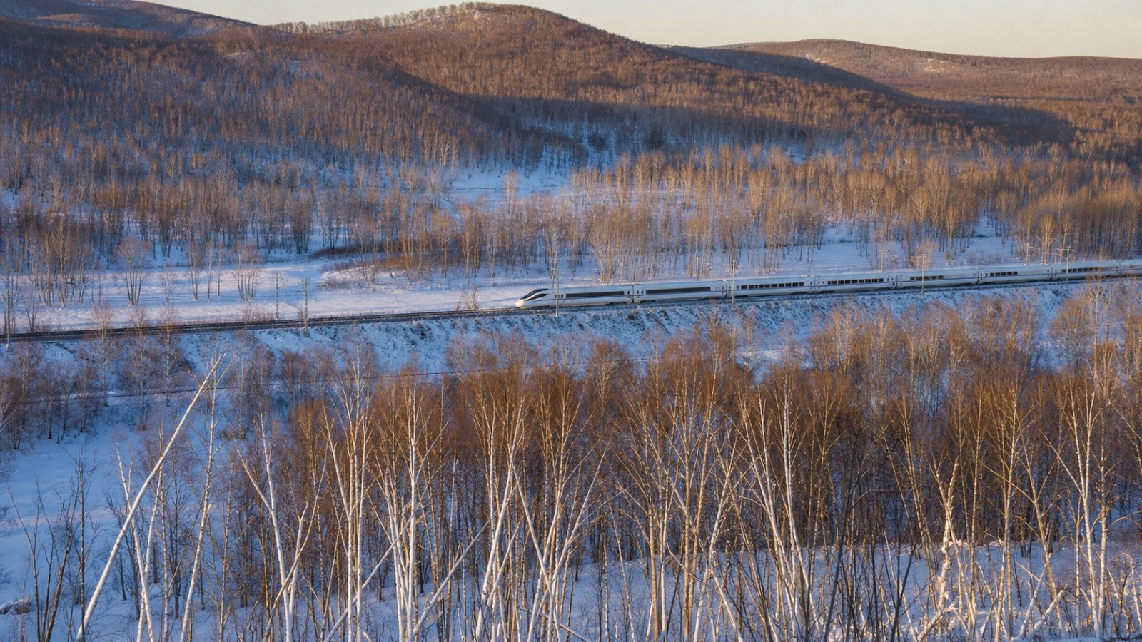 Yabuli Ski Resort to Harbin, Day 6 of 7-Day Harbin, Yabuli and Snow Town Group Tour