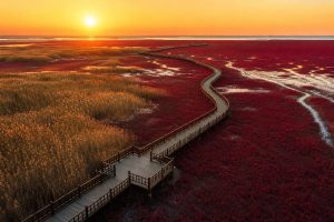 7-Day Liaoning Tour: Shenyang, Dandong, Dalian & Panjin