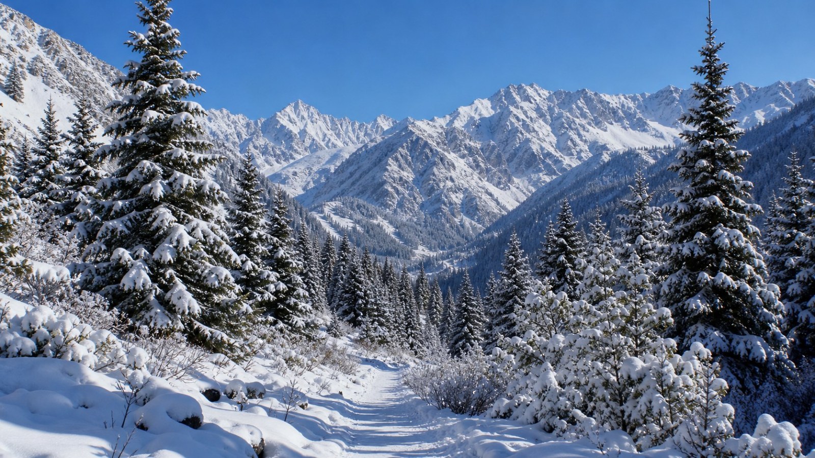 Snowy spruce forest and mountain trail in Kurdening valley