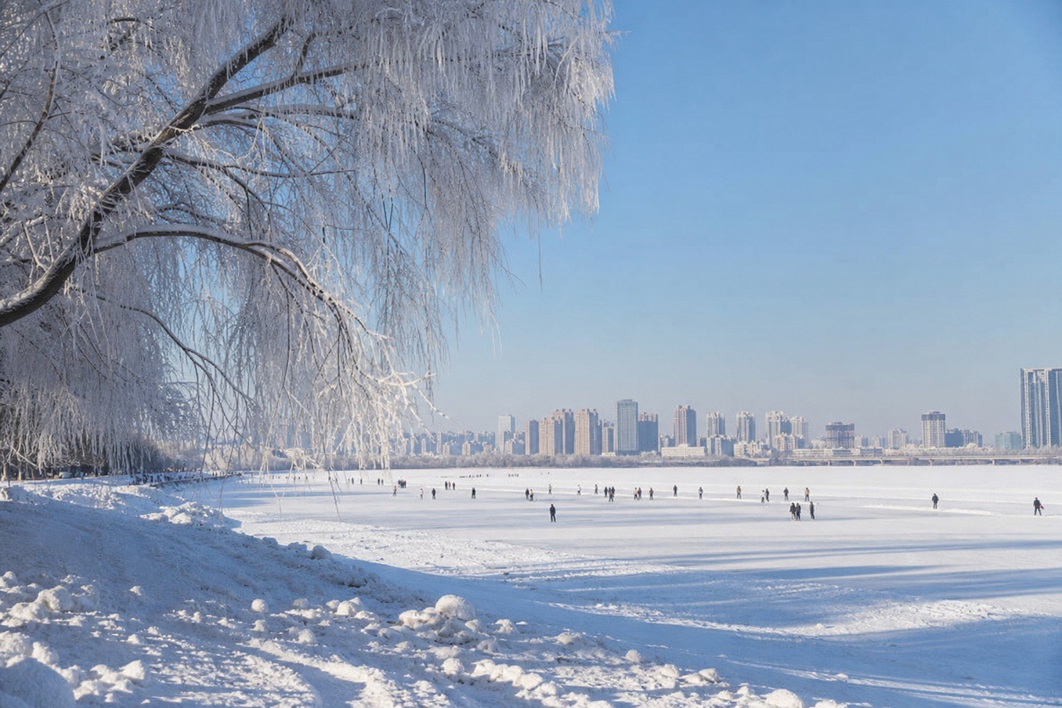 Harbin Ice and Snow Festival, Day 5 of 10-Day Northeast China Tour: Shenyang, Changchun, Harbin & Mohe