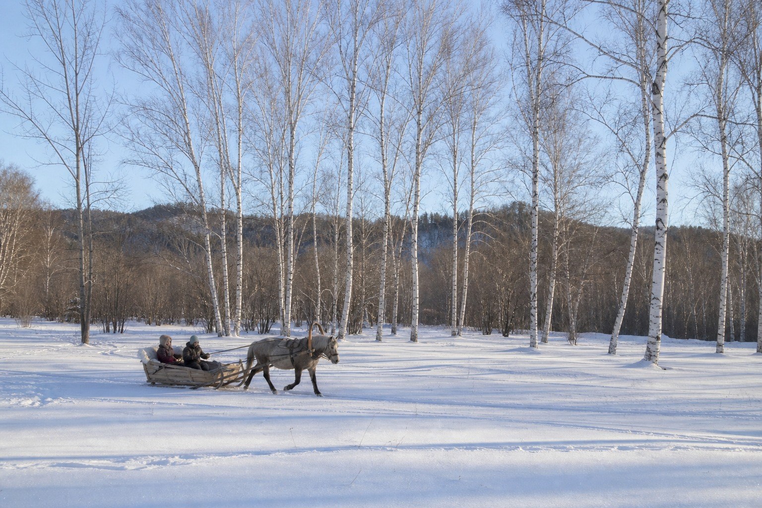 Mohe Winter Activities, Day 8 of 10-Day Northeast China Tour: Shenyang, Changchun, Harbin & Mohe