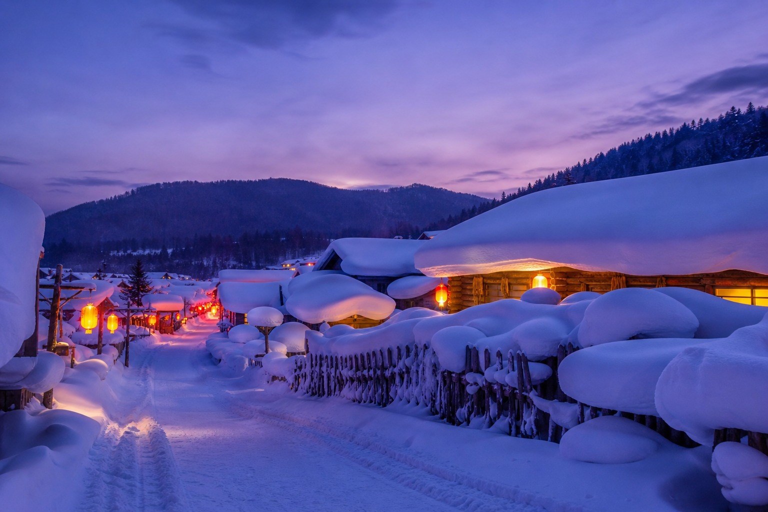 Harbin to China Snow Town, Day 7 of 9-Day Northeast China Winter Tour: Shenyang, Jilin, Changbai Mountain & Harbin