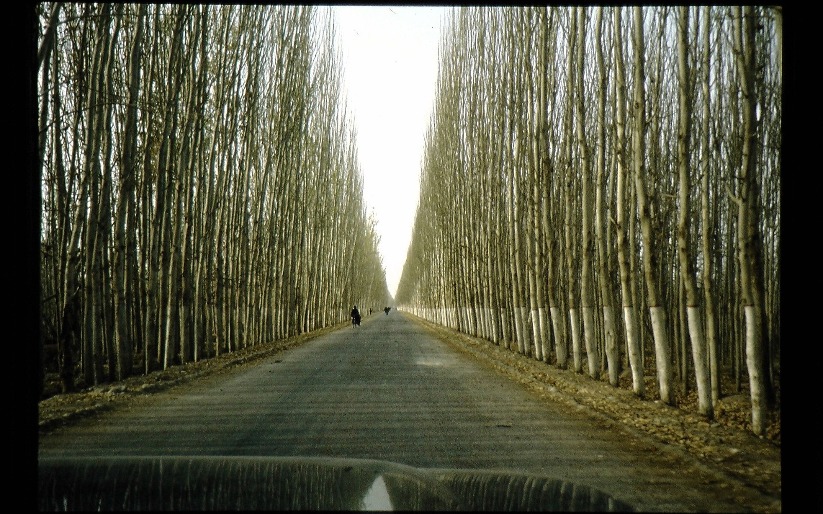 Travel view of Hotan, Xinjiang, China