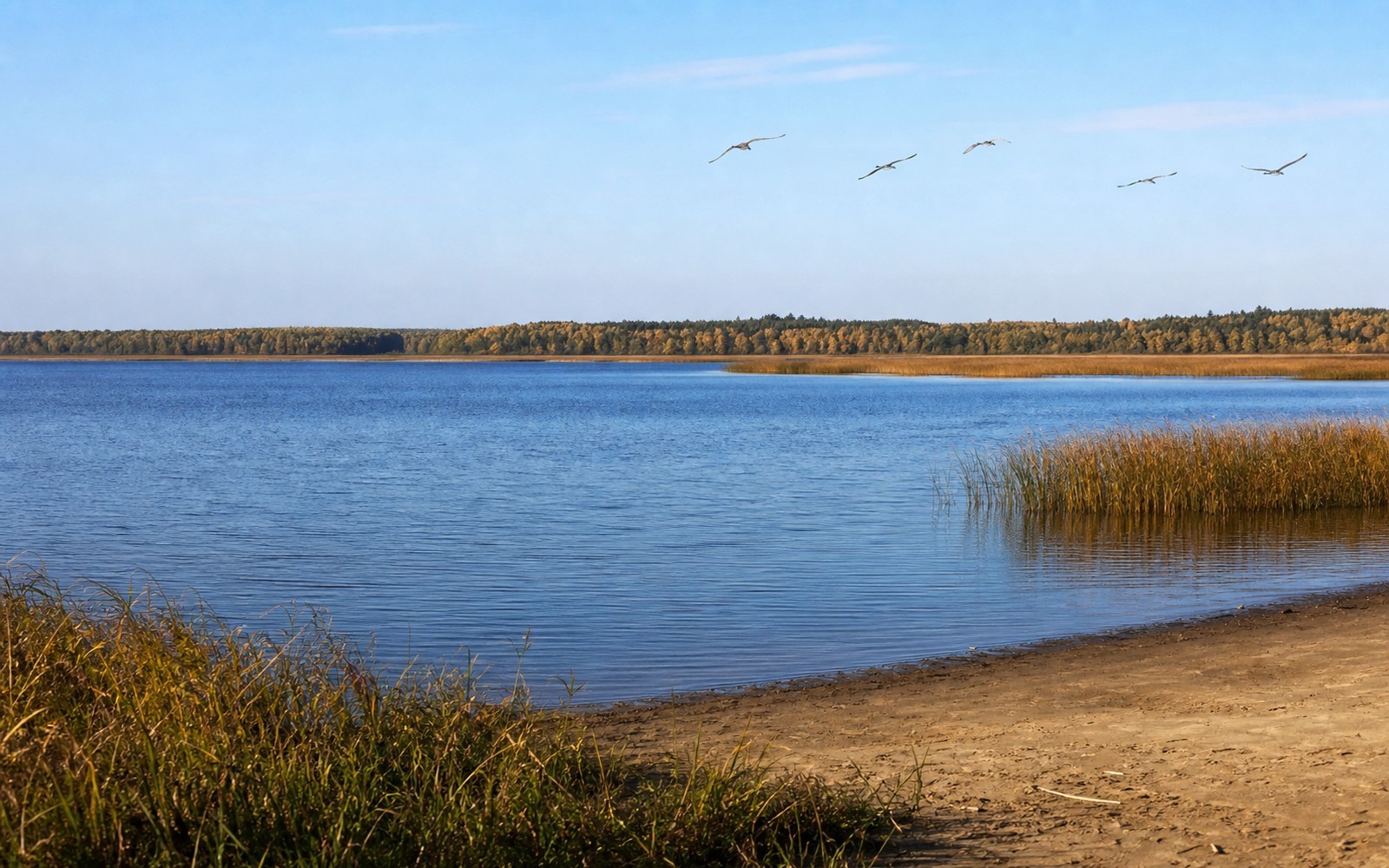 Travel view of Jixi, Heilongjiang, China