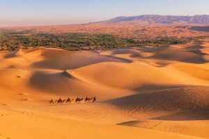 China Grassland & Desert Tours