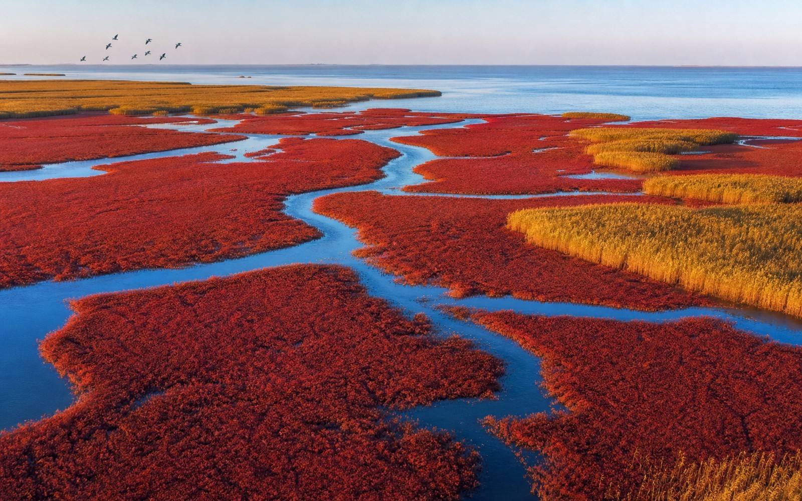 Travel view of Panjin, Liaoning, China