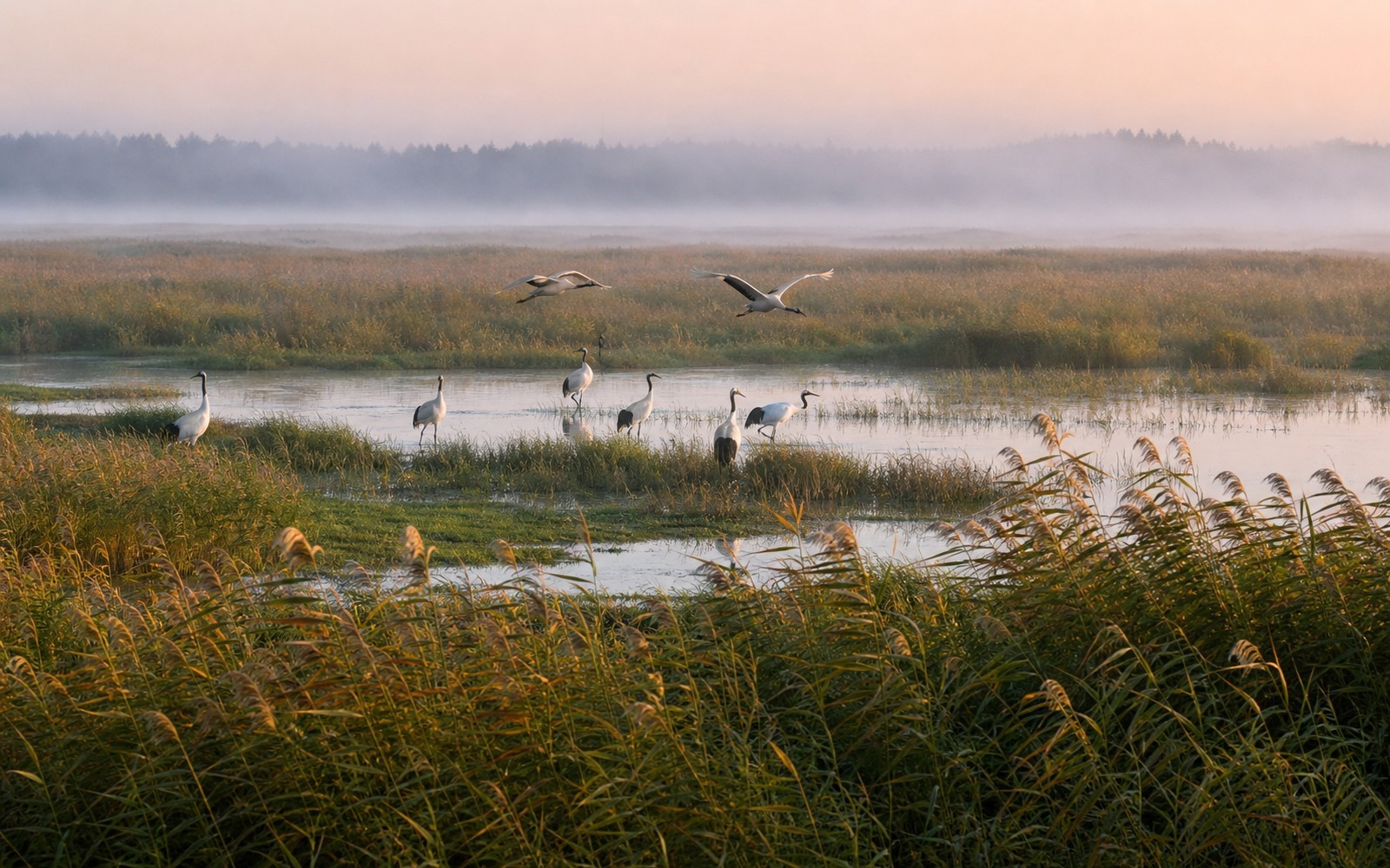 Travel view of Qiqihar, Heilongjiang, China