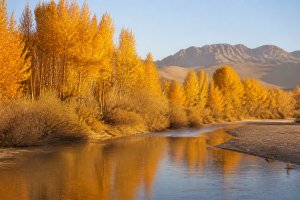 Xinjiang Winter & Autumn Landscape Tours