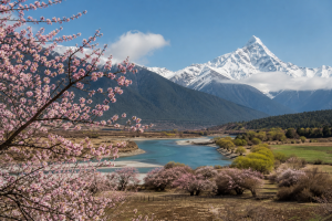 8-Day Nyingchi, Pomi, Lhasa & Shigatse Group Tour