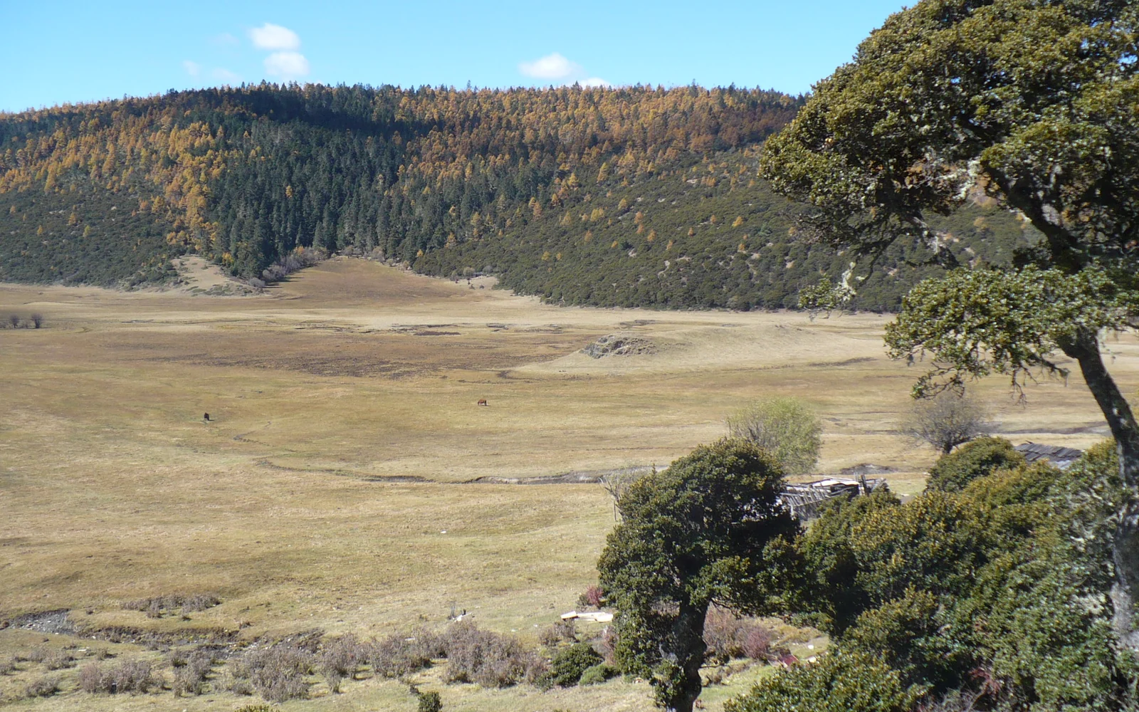 Pasture scenery in Pudacuo National Park