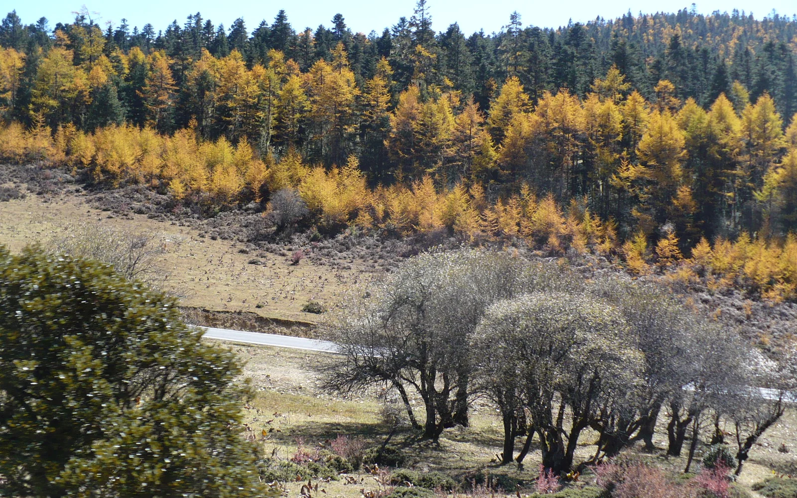 Arrive in Shangri-La on the 6-Day Shangri-La Tibetan Art & Landscape Study Tour