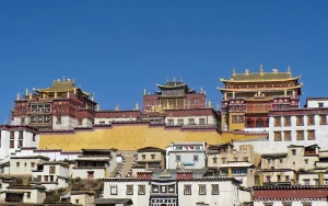 1-Day Shangri-La Songzanlin Monastery, Napa Lake & Dukezong Tour